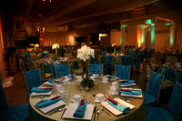 Phoenix Art Museum- Indian Wedding
