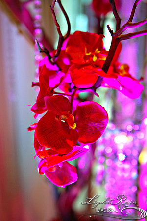 LightRainImages_vd0148