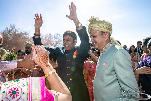 LRI-OV090_PatelSK-02232019