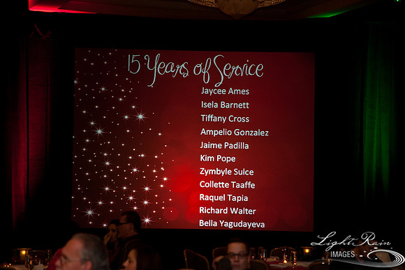 059_HolidayParty2013byLightRainImages