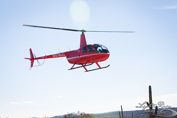 LRI-OV378_PatelSK-02232019