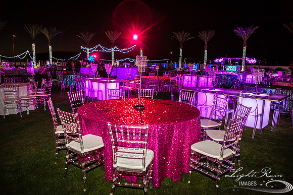 LRI-180_ChateauLDiwali10282017
