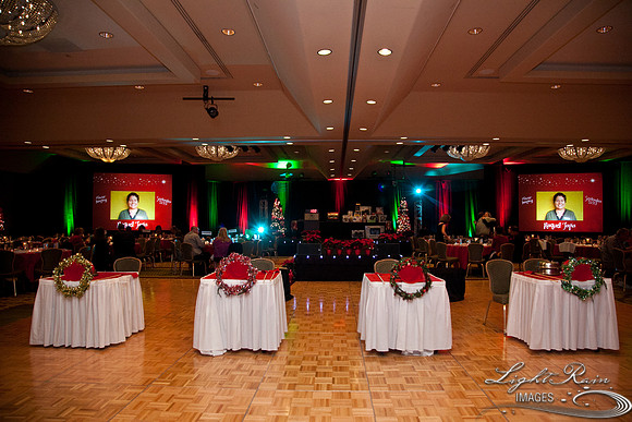 761_HolidayVenueDetails2013byLightRainImages