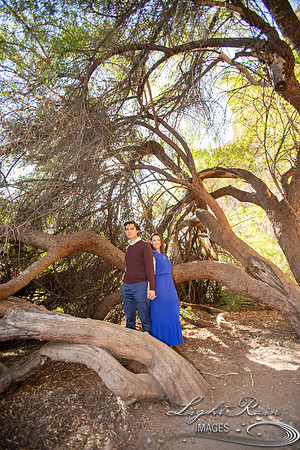 R&M (218 of 563)