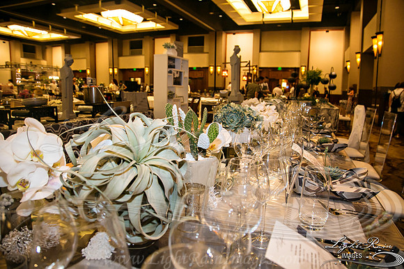 022-FlavorsPHX-LightRainImages05272016