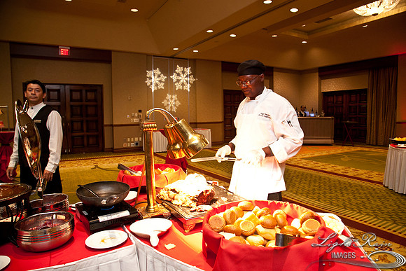 755_HolidayVenueDetails2013byLightRainImages