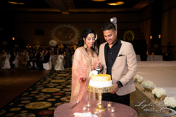 LRI-OV562_PatelSK-02232019