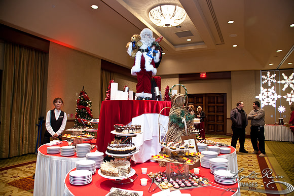 749_HolidayVenueDetails2013byLightRainImages