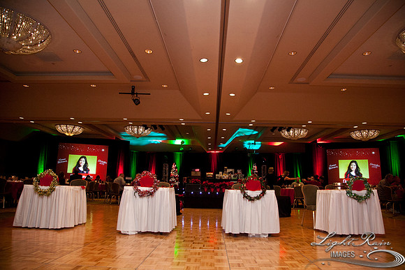 763_HolidayVenueDetails2013byLightRainImages