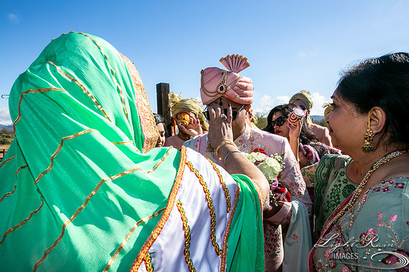 LRI-OV096_PatelSK-02232019