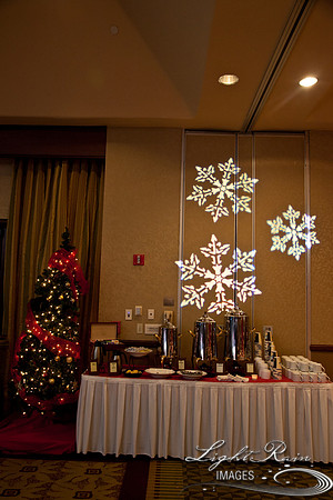 757_HolidayVenueDetails2013byLightRainImages