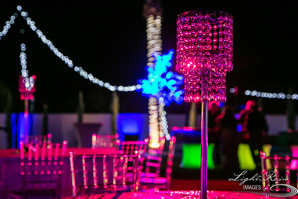 LRI-521_ChateauLDiwali10282017
