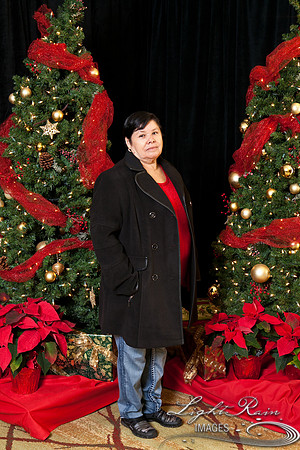 335_HolidayPhotoBooth2013byLightRainImages