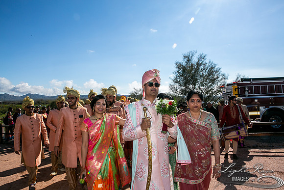 LRI-OV100_PatelSK-02232019