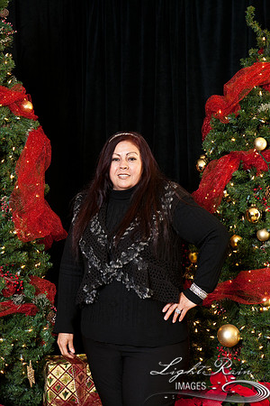 337_HolidayPhotoBooth2013byLightRainImages