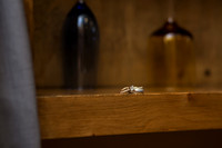 LRI-0033N_CohenSR-05042019