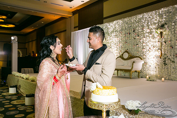 LRI-OV528_PatelSK-02232019