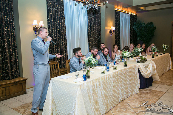 130-BoyceThompsonArboretum-TheViewsWedding