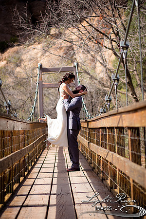 033-BoyceThompsonArboretum-TheViewsWedding