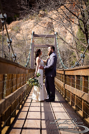 032-BoyceThompsonArboretum-TheViewsWedding