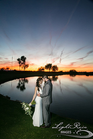 127-BoyceThompsonArboretum-TheViewsWedding