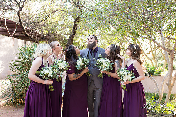 100-BoyceThompsonArboretum-TheViewsWedding