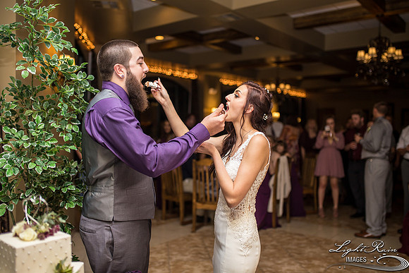 141-BoyceThompsonArboretum-TheViewsWedding