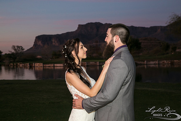 122-BoyceThompsonArboretum-TheViewsWedding