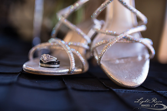 003-BoyceThompsonArboretum-TheViewsWedding