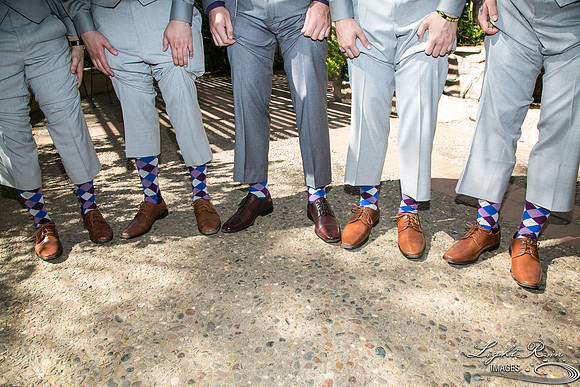 023-BoyceThompsonArboretum-TheViewsWedding