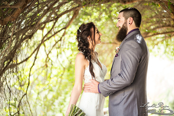041-BoyceThompsonArboretum-TheViewsWedding