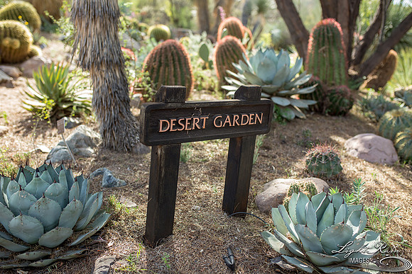 057-BoyceThompsonArboretum-TheViewsWedding