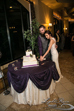 157-BoyceThompsonArboretum-TheViewsWedding