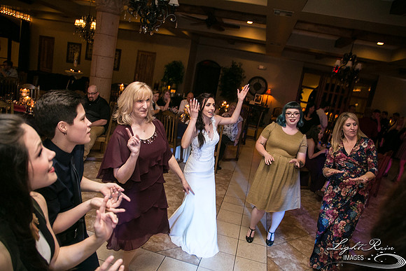 150-BoyceThompsonArboretum-TheViewsWedding