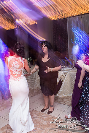 136-BoyceThompsonArboretum-TheViewsWedding