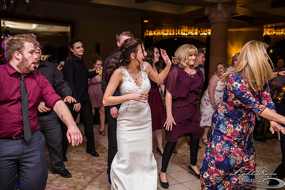 168-BoyceThompsonArboretum-TheViewsWedding