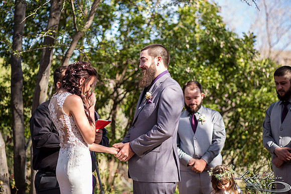 230-BoyceThompsonArboretum-TheViewsWedding