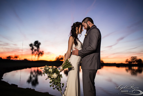 117-BoyceThompsonArboretum-TheViewsWedding
