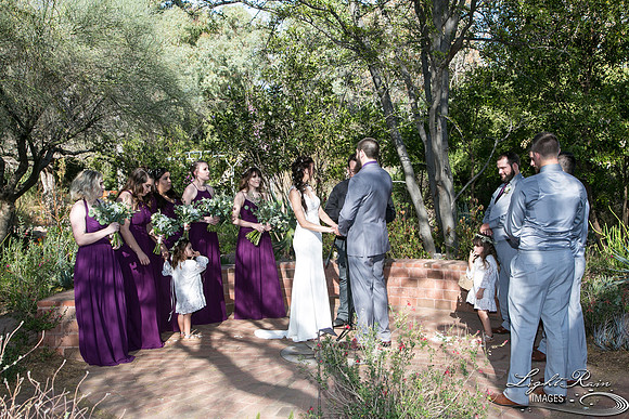 096-BoyceThompsonArboretum-TheViewsWedding