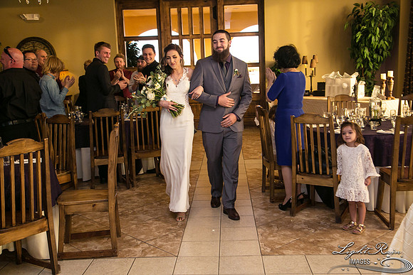 219-BoyceThompsonArboretum-TheViewsWedding