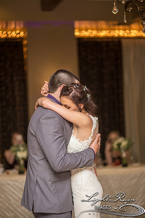 247-BoyceThompsonArboretum-TheViewsWedding