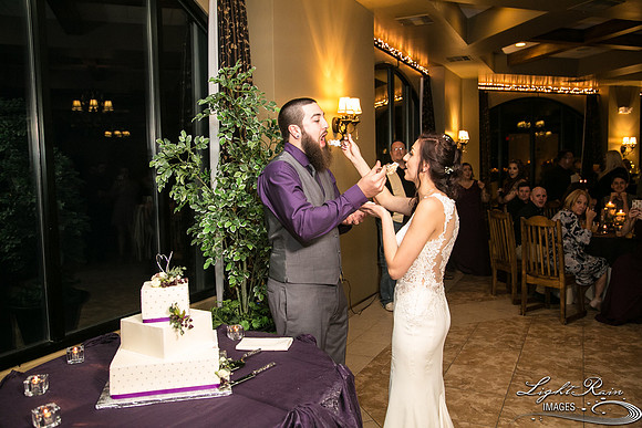 158-BoyceThompsonArboretum-TheViewsWedding