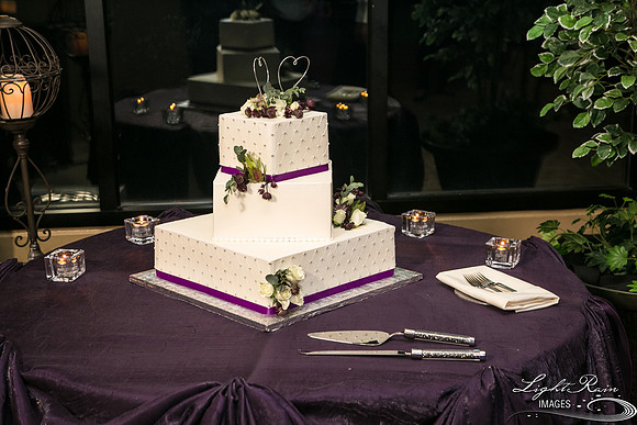 236-BoyceThompsonArboretum-TheViewsWedding
