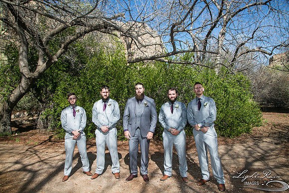 194-BoyceThompsonArboretum-TheViewsWedding