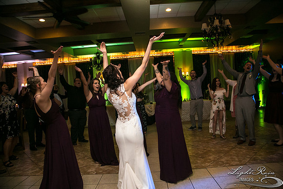 166-BoyceThompsonArboretum-TheViewsWedding