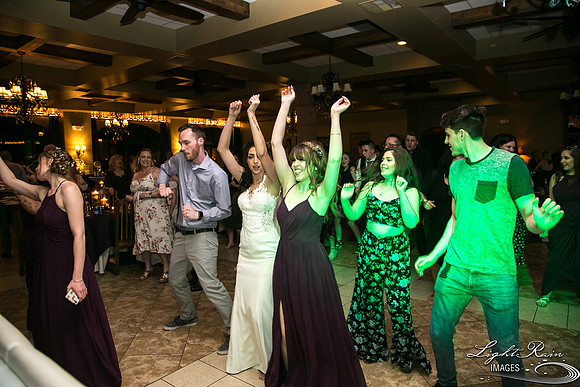 178-BoyceThompsonArboretum-TheViewsWedding