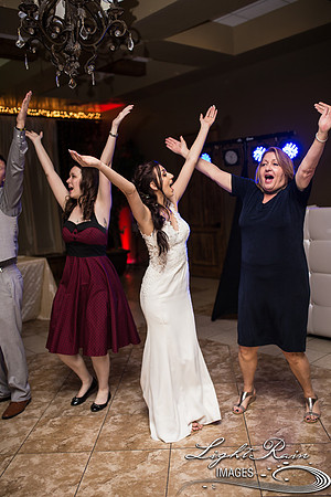 144-BoyceThompsonArboretum-TheViewsWedding