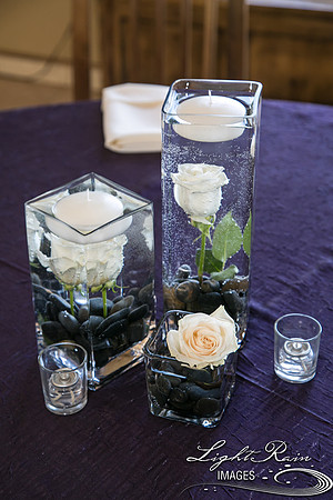 185-BoyceThompsonArboretum-TheViewsWedding