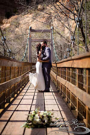 035-BoyceThompsonArboretum-TheViewsWedding