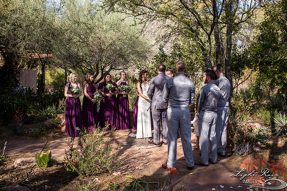 074-BoyceThompsonArboretum-TheViewsWedding